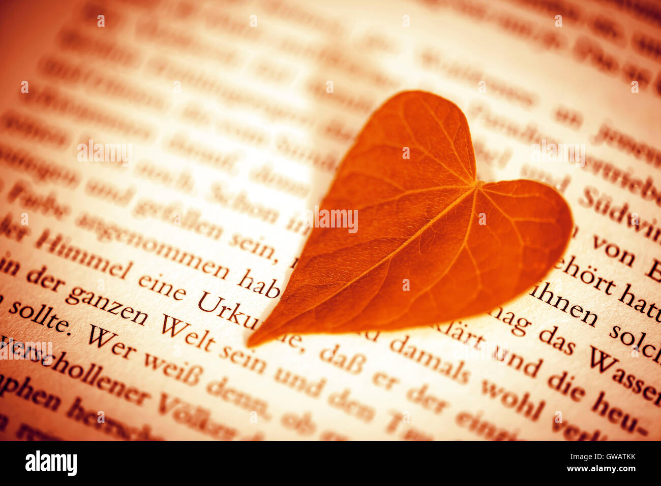 Herzförmiges Blatt auf einer Buchseite, Herzfoermiges Blatt Auf Einer Buchseite Stockfoto