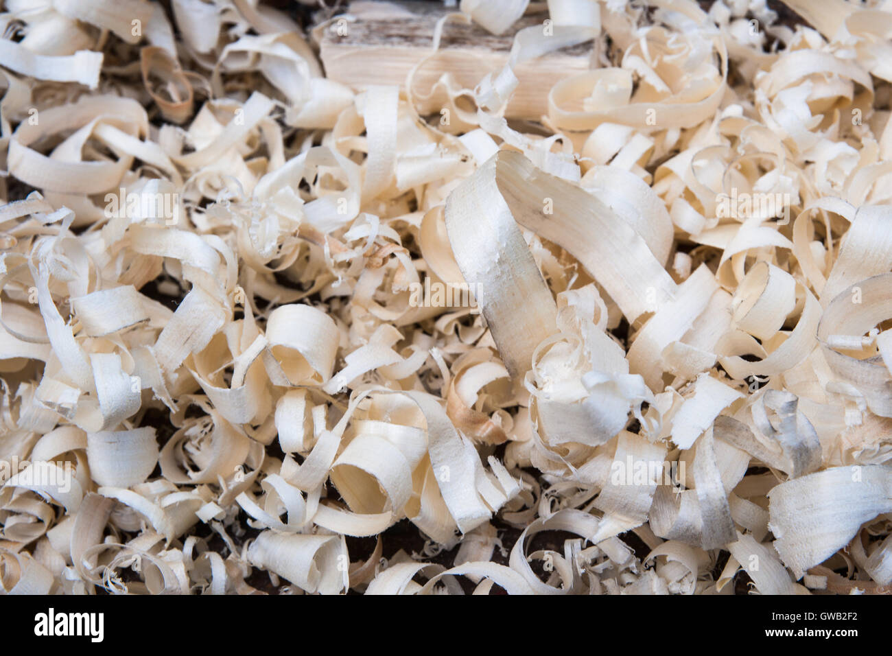 Frisches Holz Späne auf ein Schreiner Bank. Traditionelle Tischler Arbeit. Niemand um ihn herum. Stockfoto