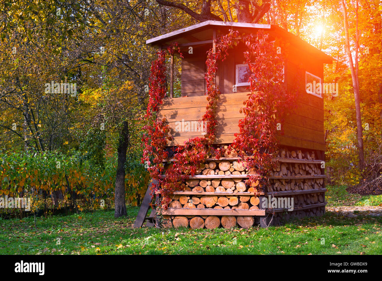 Autumn garden Fotos und Bildmaterial in hoher Auflösung Alamy