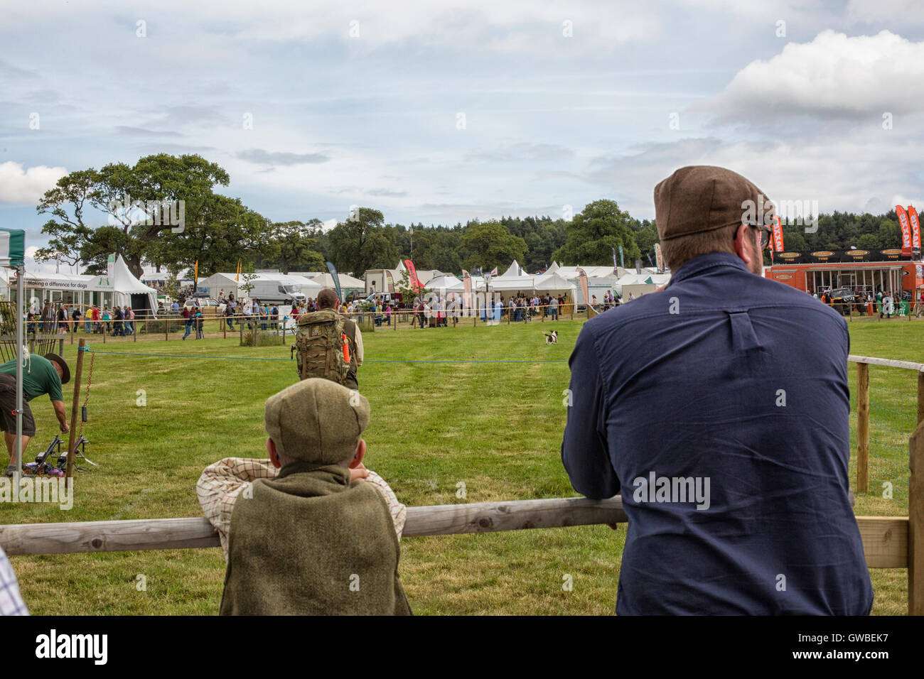 Vater und Sohn beobachten die lange abrufen für Hunde bei einer Show in Yorkshire, England Stockfoto