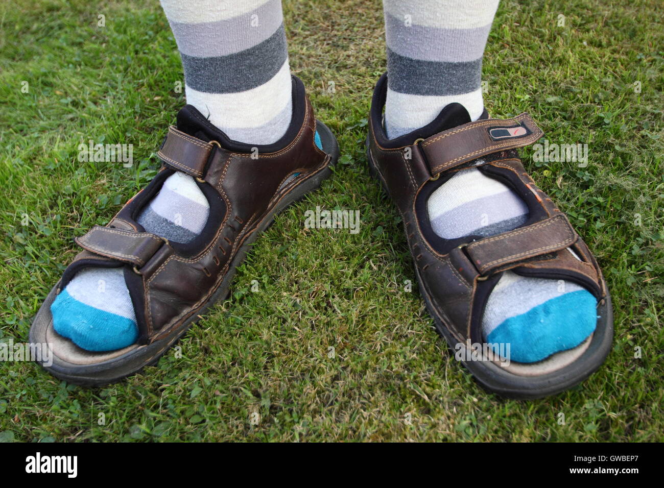 Ein englischer Mann trägt Socken mit Sandalen im Sommer in einem heimischen  Garten, England UK Modell veröffentlicht Stockfotografie - Alamy