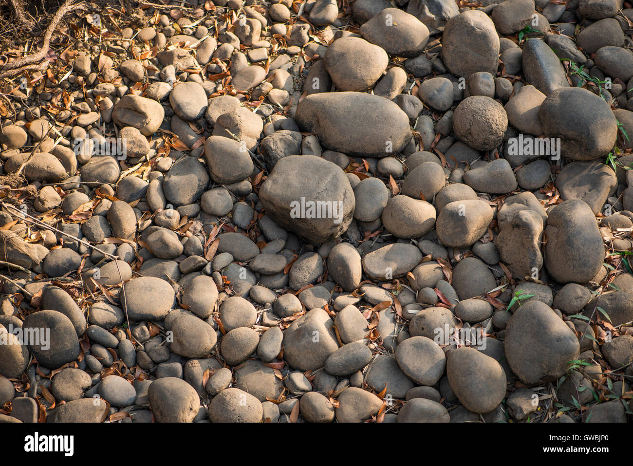 Exponierten Kieselsteine in einem Fluss, der aufgrund der Dürre ausgetrocknet hatte Stockfoto