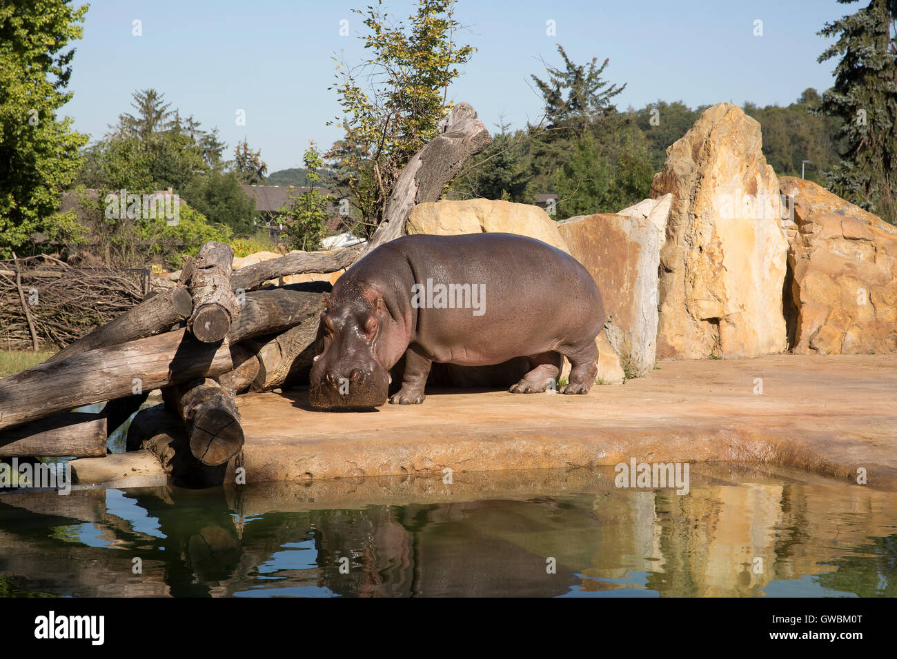 Der Grosste Zoo Der Welt