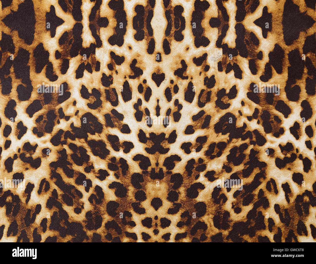 Hintergrund mit Leopard Textur Stockfoto