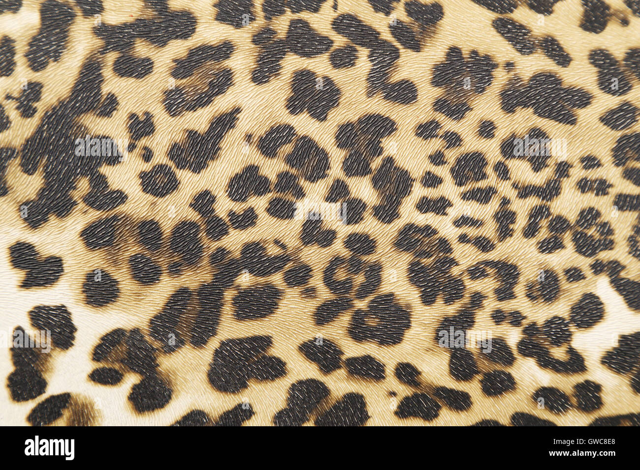 Hintergrund mit Leopard Textur Stockfoto