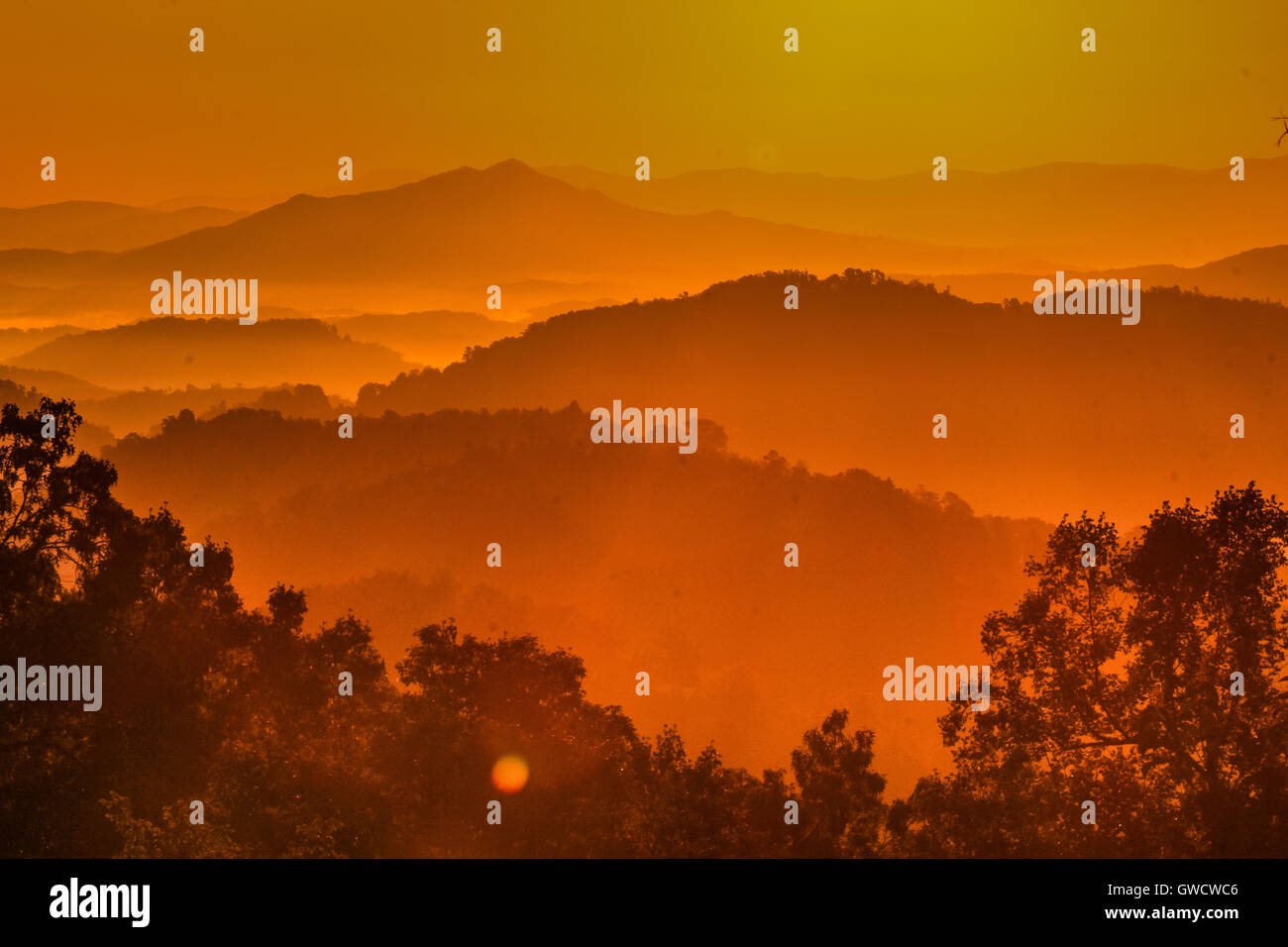 Bunter Herbst Sonnenaufgang in den Smoky Mountains National Park Stockfoto