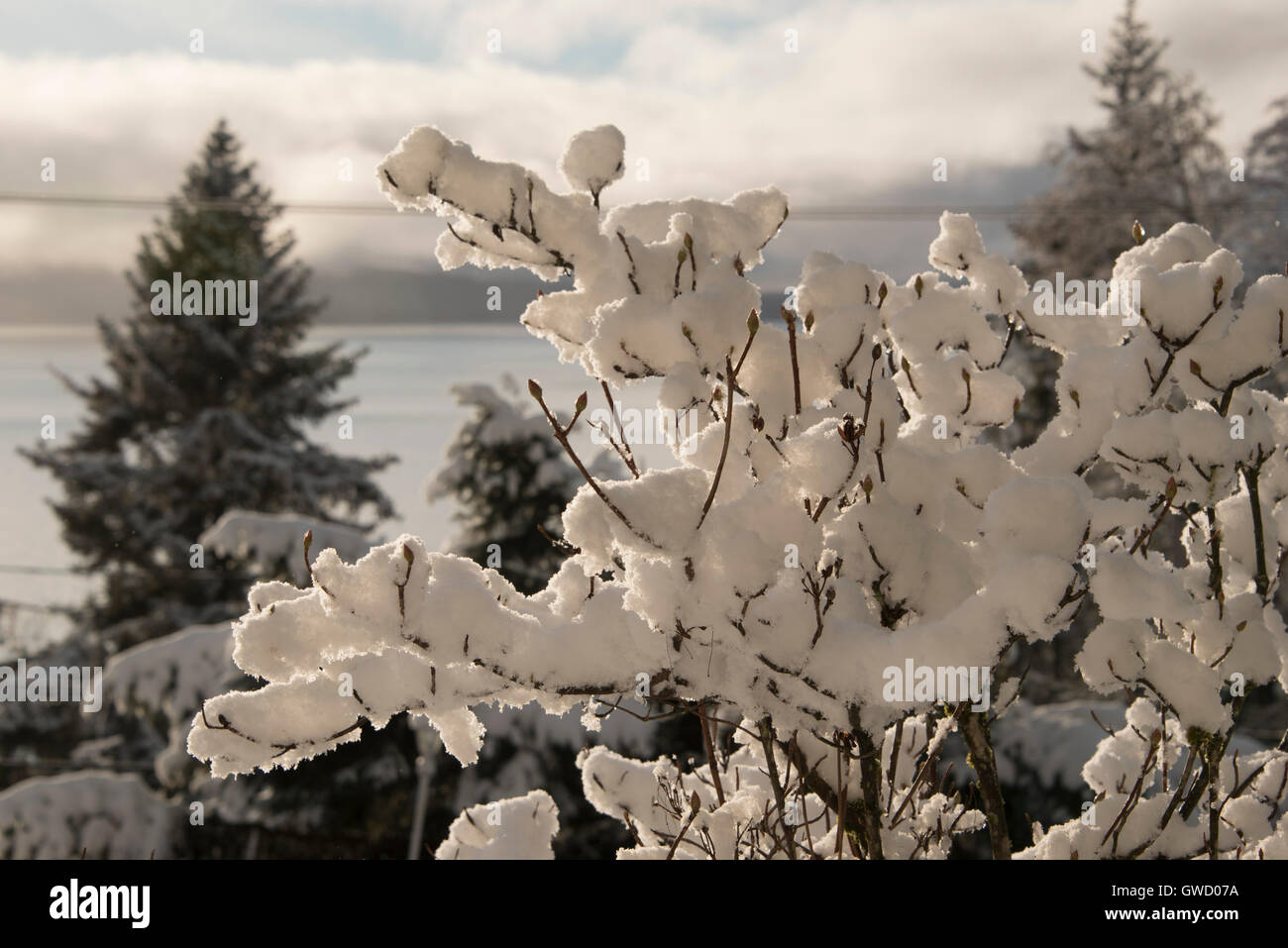 Winter Schnee Juneau Alaska Stockfoto