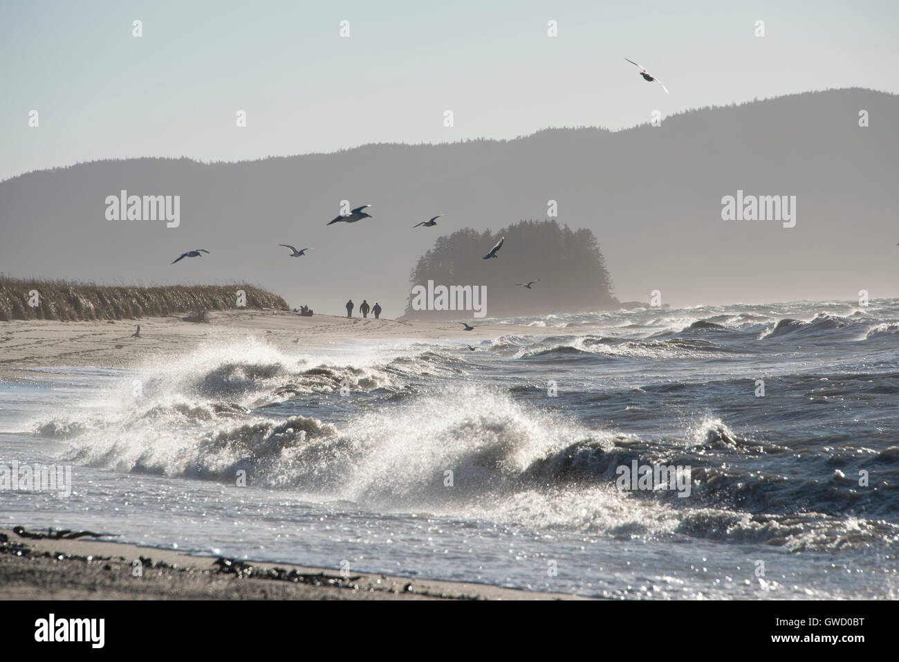 Spaziergänger am Strand mit Möwen bei Sturm in Alaska Stockfoto