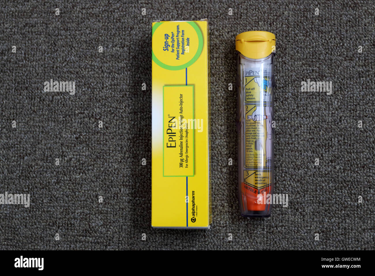 Schließen Sie herauf Bild der Erwachsenen EpiPen - Adrenalin-Injektion für Anaphylaxie Stockfoto