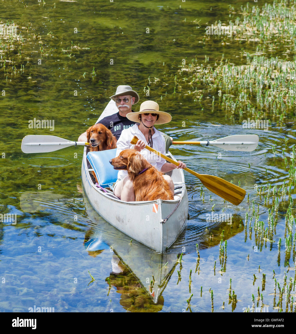 Paar Teilen Kanu mit Retrievern in Twin Lakes im Mammoth Lakes Becken Stockfoto