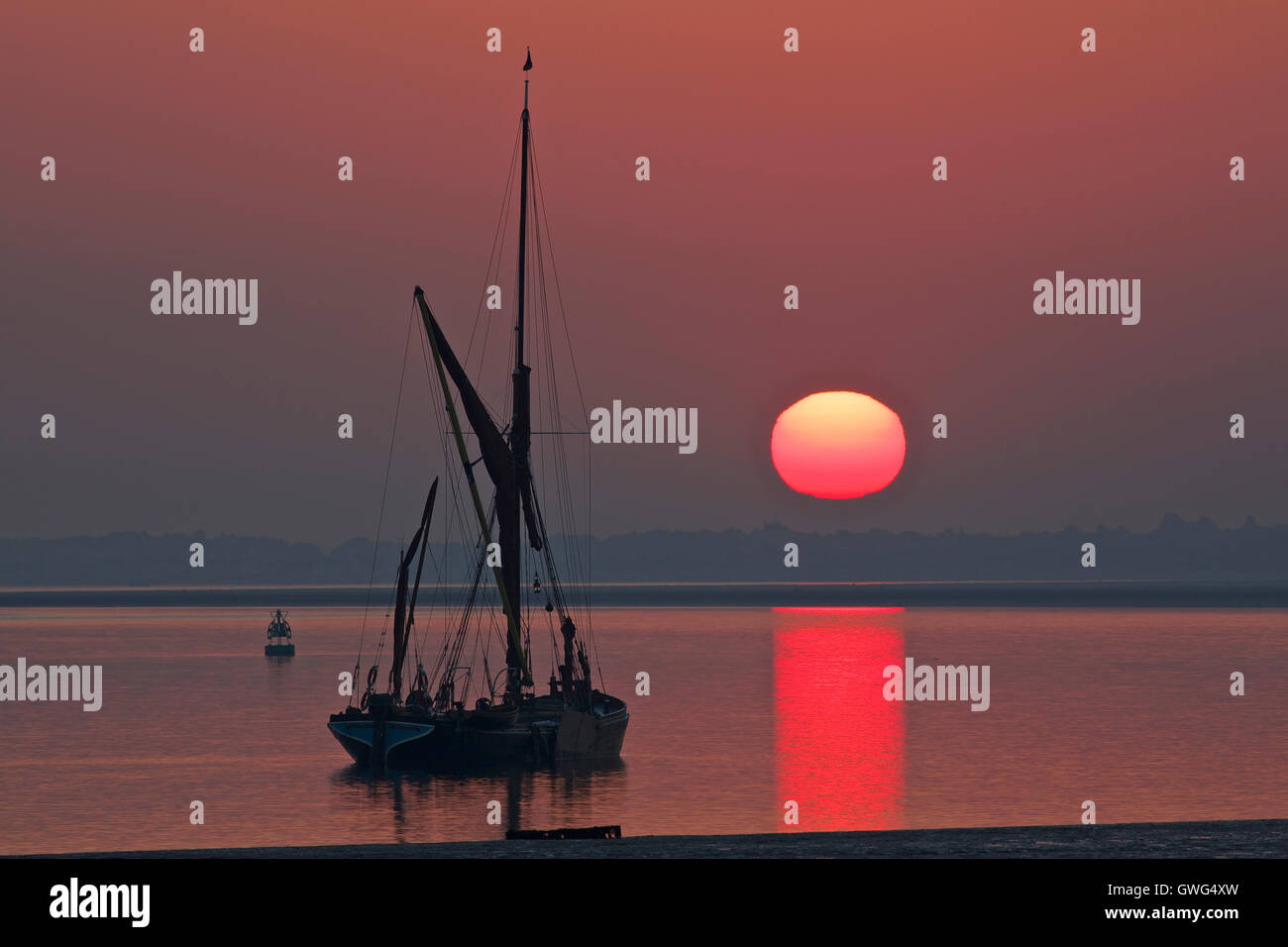 Swale Mündung, Kent, UK. 14. September 2016: UK Wetter. Die Sonne steigt in einem klaren Himmel wie ein Bindi Altweibersommer geht weiter. Die Themse Segeln Schiff liegt vor Anker unter einem wunderschönen roten Schein Mirosa. Das Wetter soll sich für das Wochenende zu ändern, da kühler Luft Temperaturen normal für die Zeit des Jahres Credit zurückkehrt: Alan Payton/Alamy Live News Stockfoto