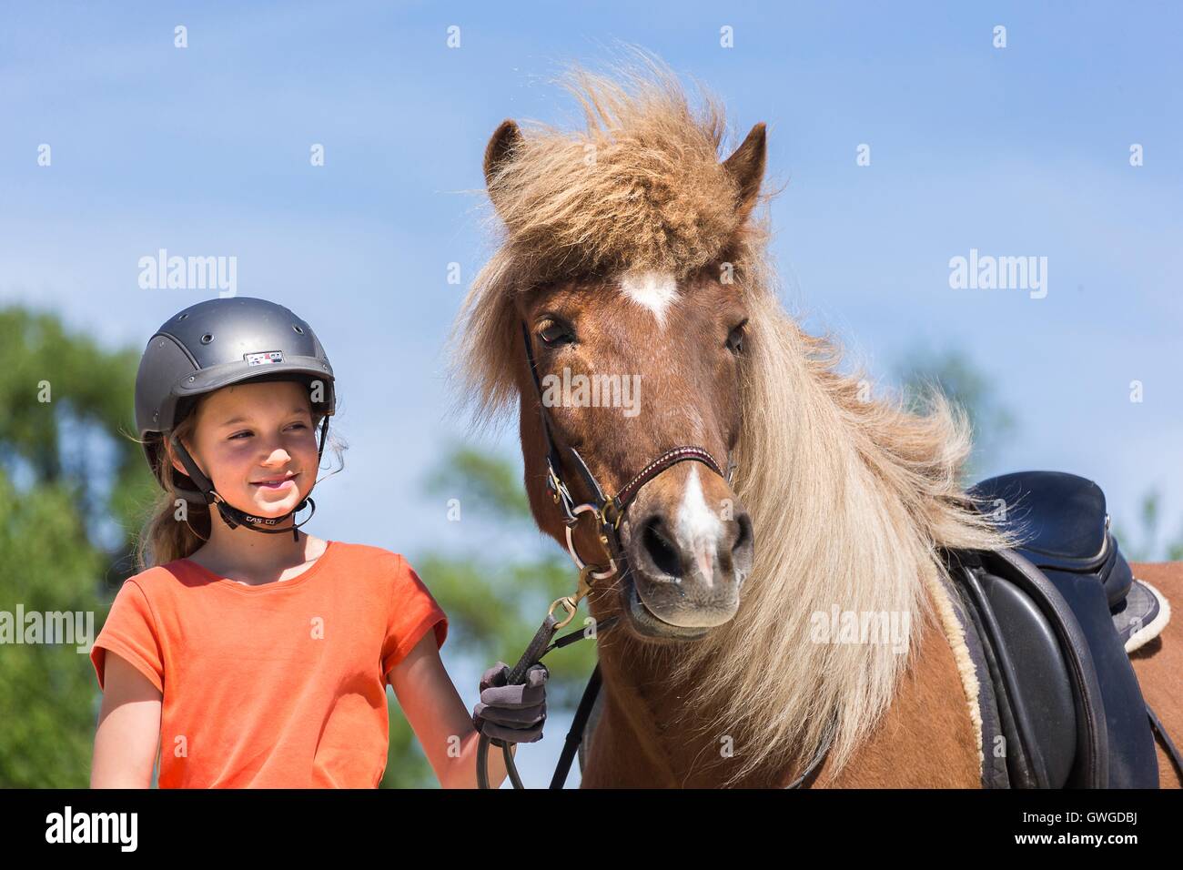 Islandpferd. Mädchen stehen neben ein rotes Pferd mit Trense. Österreich Stockfoto