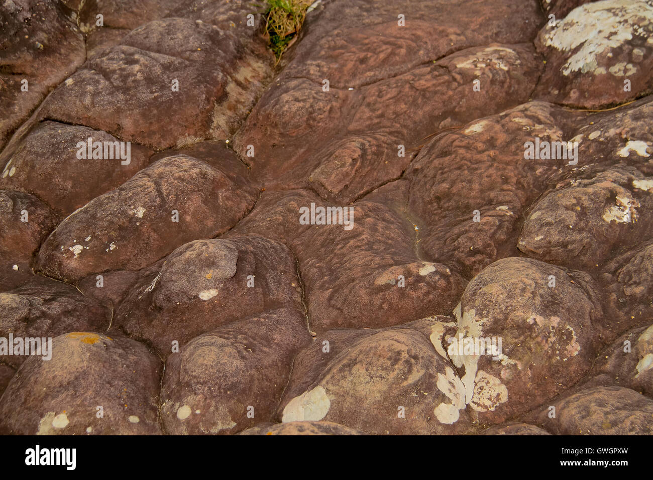 Muster auf Sandstein Erosion durch Wind und Wasser. Phu Hin Rong Kla Nationalpark ist ein Nationalpark befindet sich in Loei, Phi Stockfoto