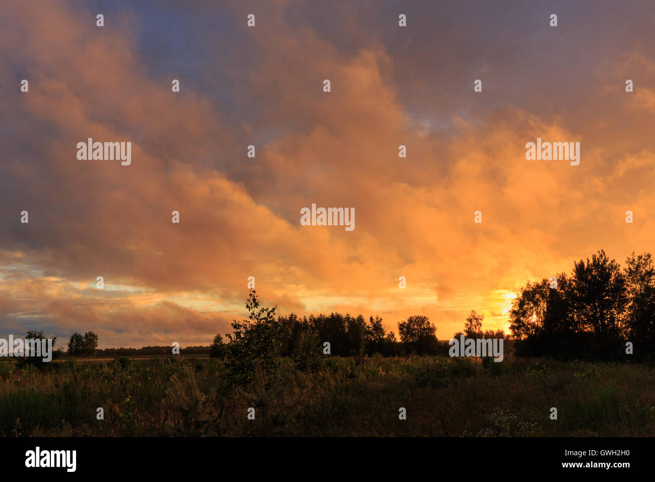Sonnenuntergang Wolken regnen nach über verlassene Gebiet mit Rasen, Podlasie Region, Polen, Europa Stockfoto Sonnenuntergang Wolken regnen nach über verlassene Gebiet mit Rasen, Podlasie Region, Polen, Europa Stockfoto