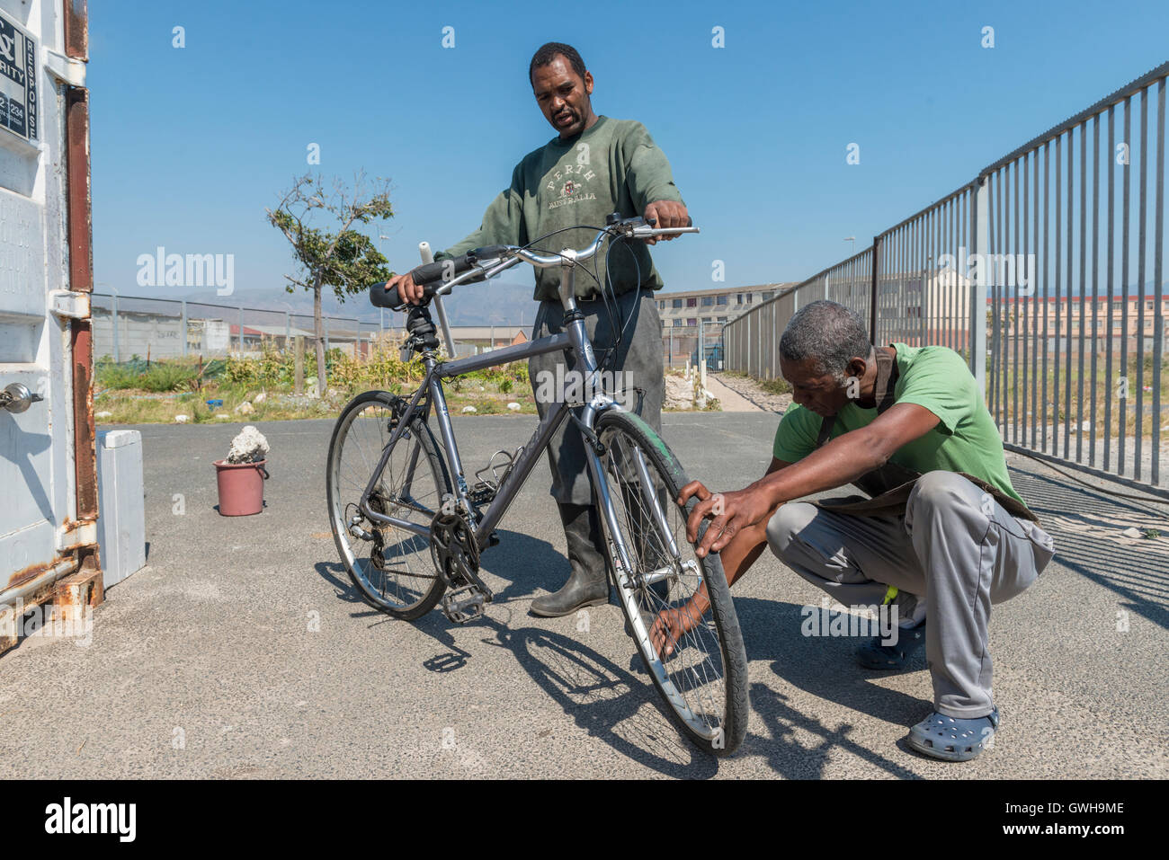 Zweiradmechaniker inspizieren das Fahrrad eines Kunden, Cape Town, Südafrika Stockfoto