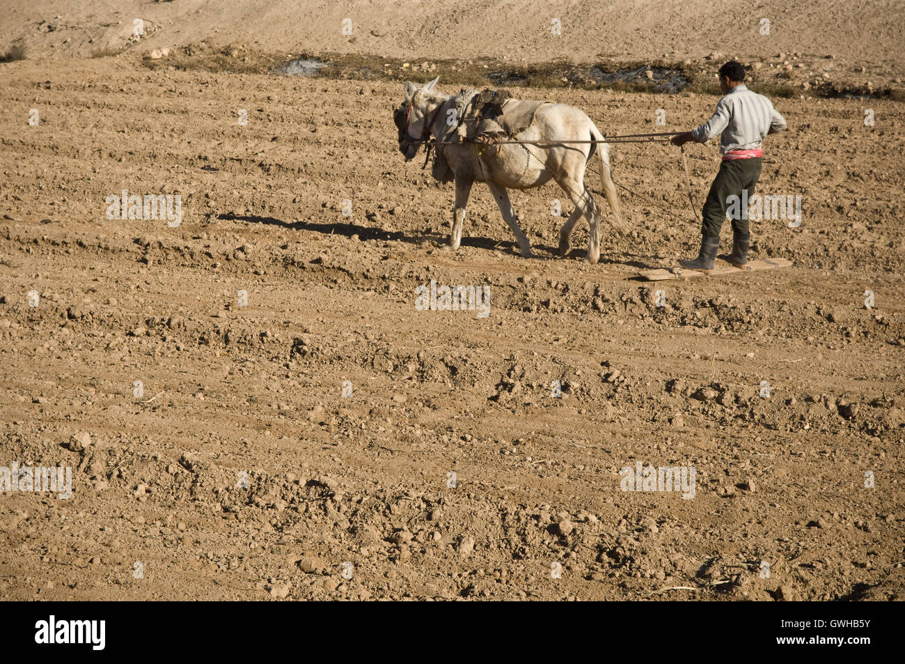 Syrische Landarbeiter Kampf gegen Dürre und Klimawandel Stockfoto
