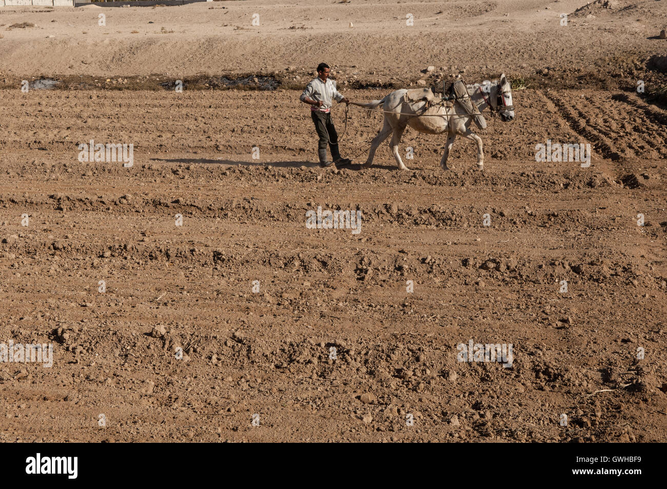 Syrische Landarbeiter Kampf gegen Dürre und Klimawandel Stockfoto