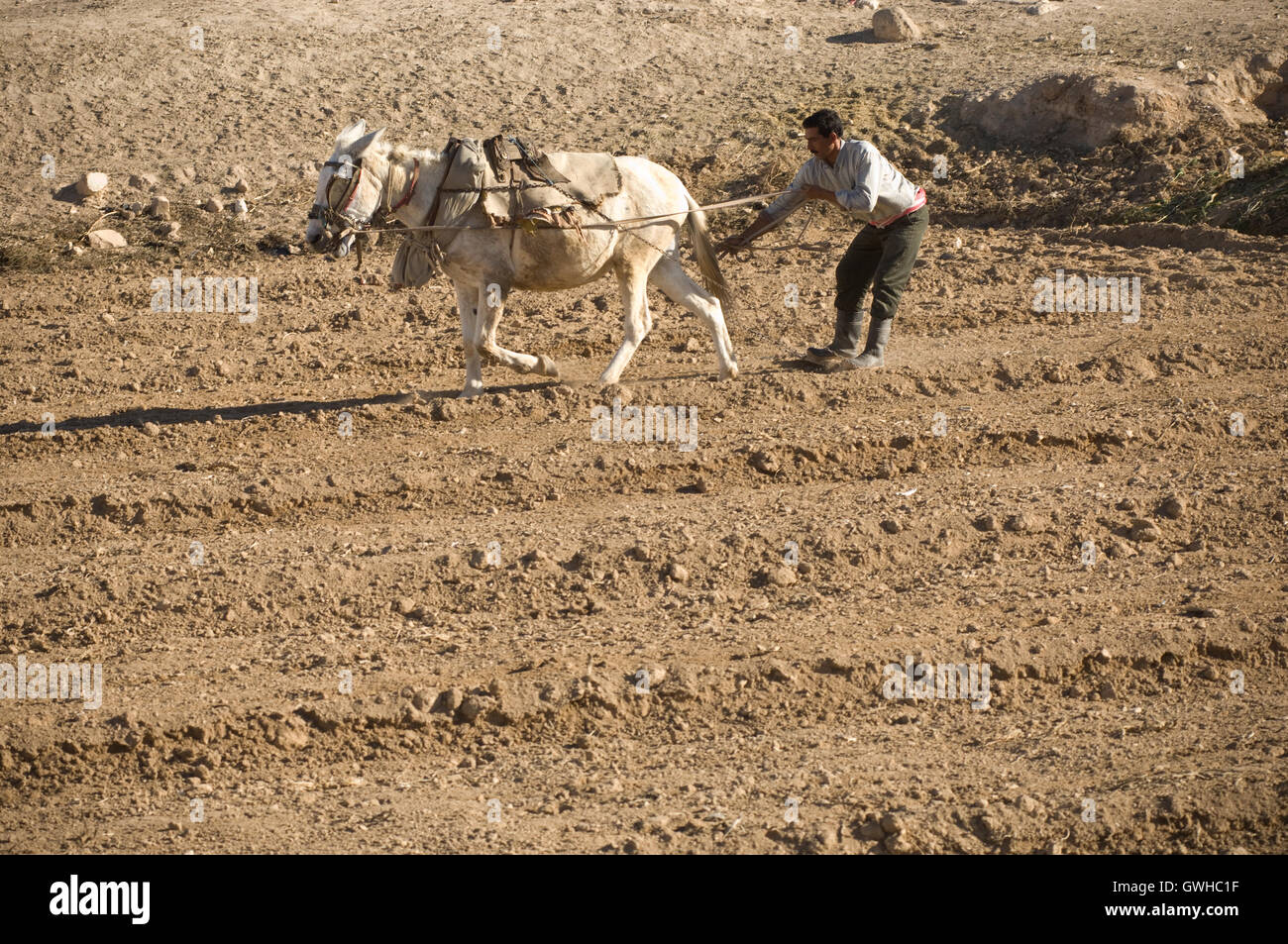 Syrische Landarbeiter Kampf gegen Dürre und Klimawandel Stockfoto