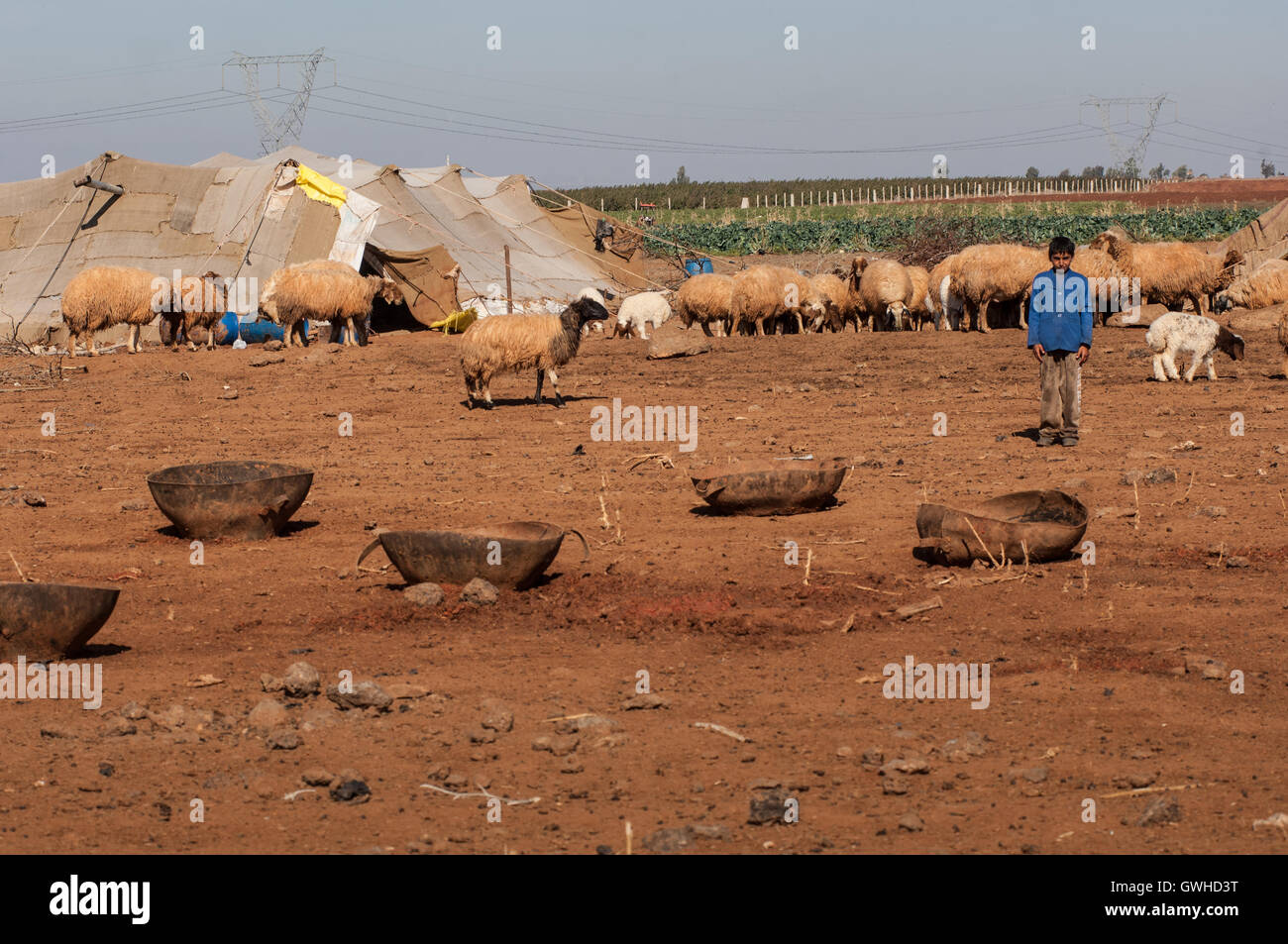 Syrische saisonale Bauern in der Nähe von Daraa südlichen Syrien Stockfoto