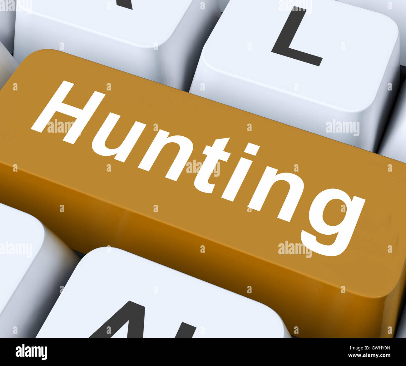 Jagd-Schlüssel bedeutet Exploration oder Suche Stockfoto