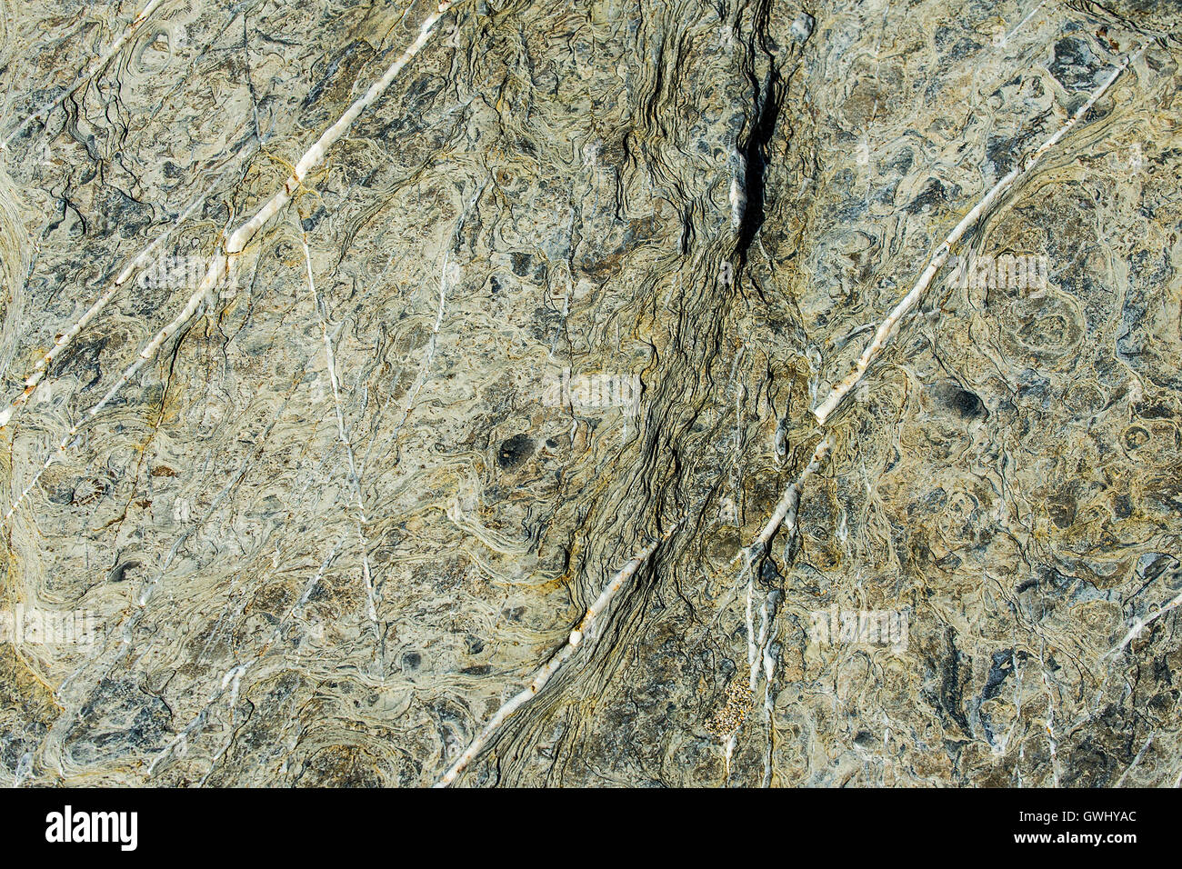 Detailansicht von Marken, Linien und Muster in der Erodierten Oberfläche rock. Stockfoto