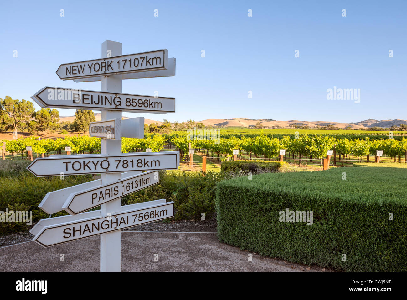 Die Jacob Creek Visitor Centre in South Australia Barossa Valley Stockfoto