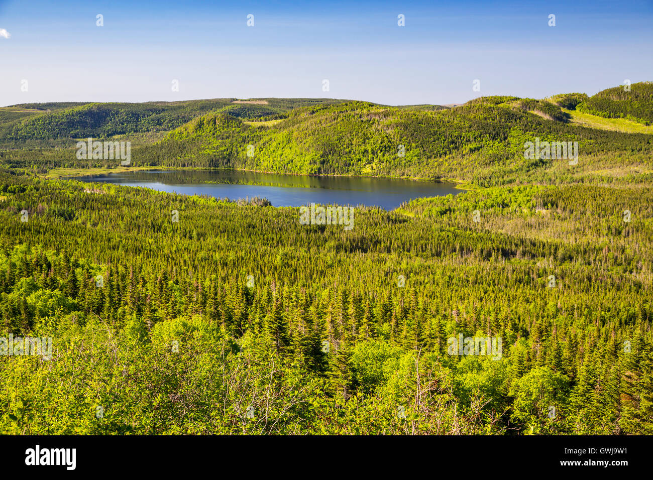Küstenlandschaft in Gros Morne National Park, Neufundland und Labrador, Kanada. Stockfoto