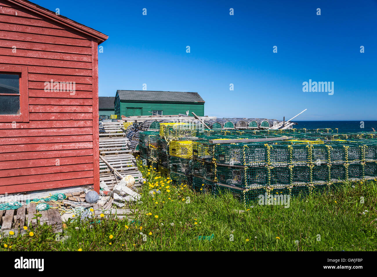 Saunière Häuser und bunten Fischen Phasen mit Hummerfallen im Dorf Kuhkopf, Neufundland und Labrador, Kanada. Stockfoto