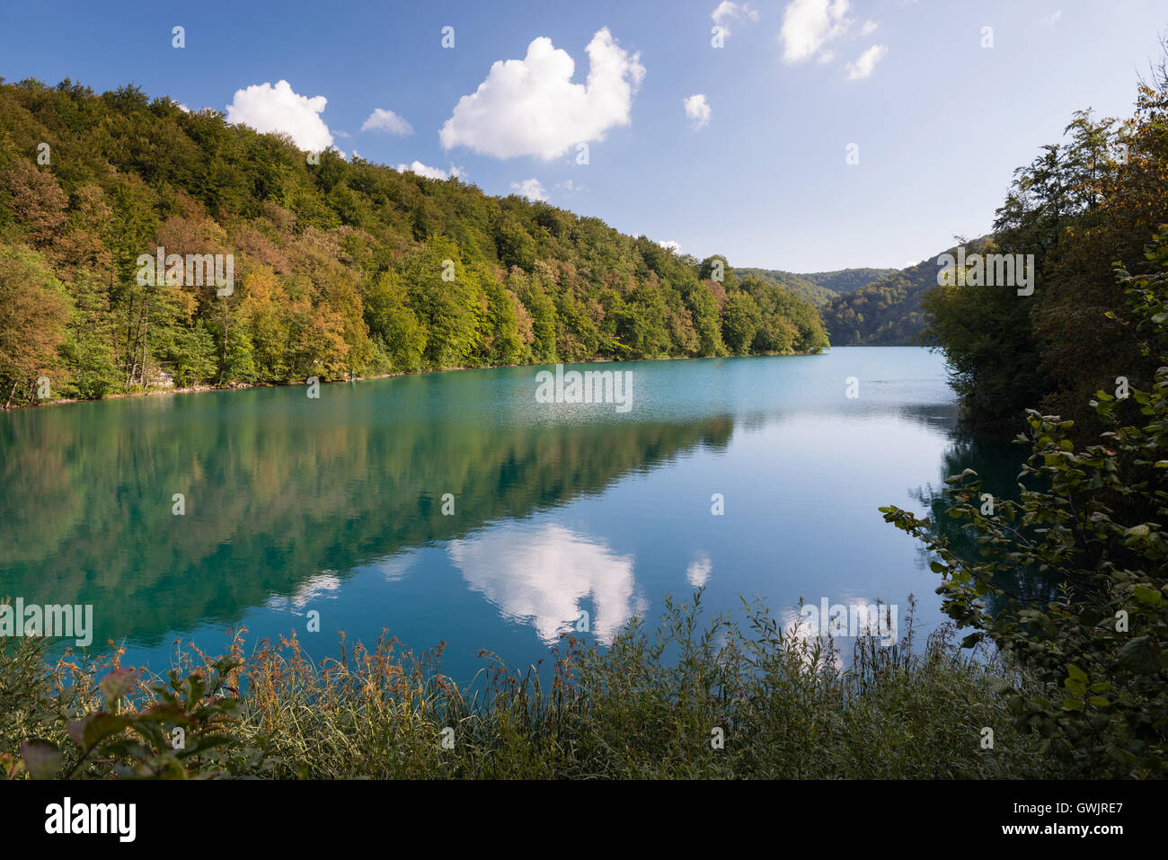 Azure Plitvicer Seen, Nationalpark, Kroatien, UNESCO Stockfoto