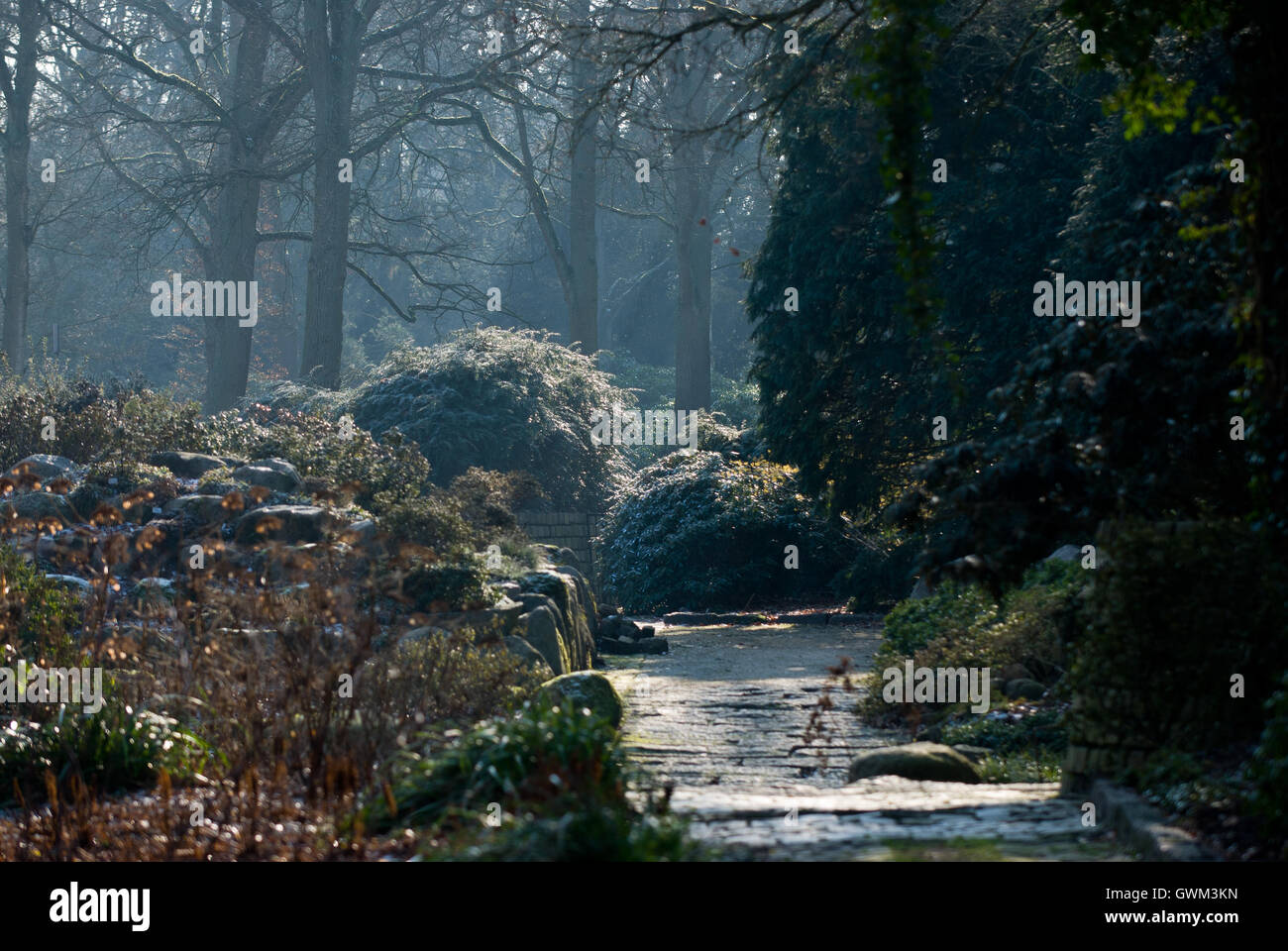 Bremen - Blick auf den Botanischen Garten ist auch bekannt als Rhododendron-Park nach Hause zu einer großen Sammlung von Rhododendren Stockfoto