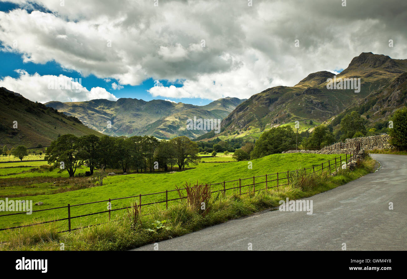 Great Langdale, Seenplatte Landschaft Stockfoto