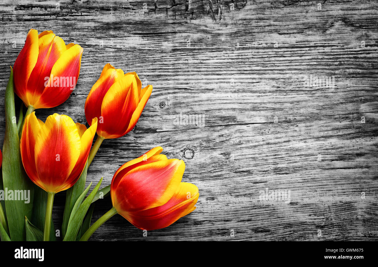 schöner Blumenstrauß rote und gelbe Tulpen. BW hölzernen Hintergrund. Stockfoto