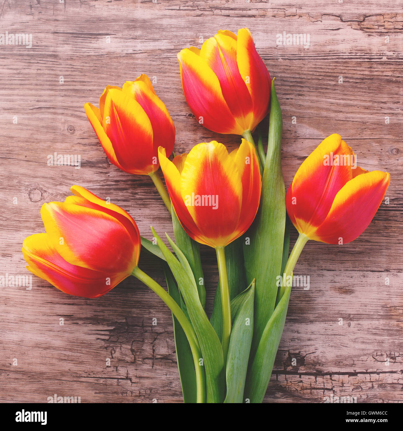 schöner Blumenstrauß gelbe Tulpen. toning-Film Stockfoto