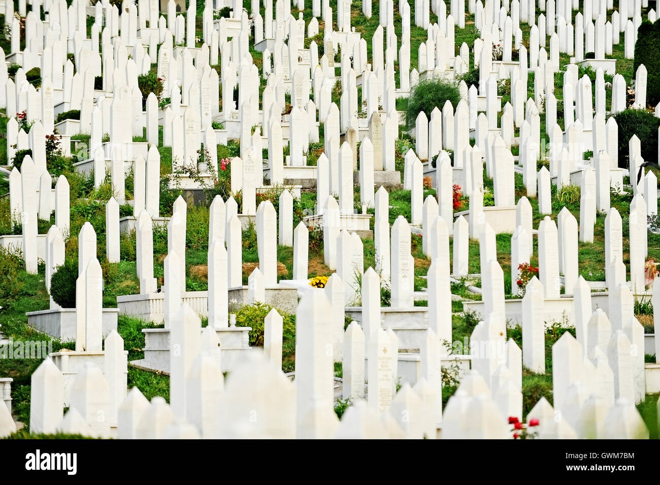 Muslimische Gräber auf dem Friedhof, gewidmet den Opfern der Belagerung von Sarajevo Stockfoto