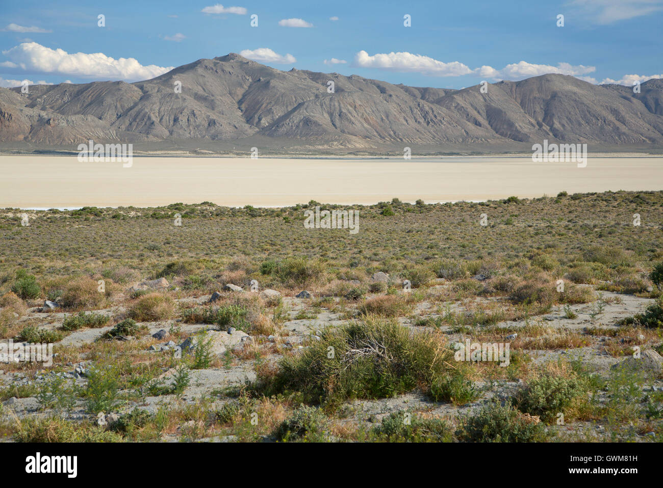 Black Rock Desert Playa, Black Rock Desert hohe Rock Canyon Emigrant Trails National Conservation Area, Nevada Stockfoto