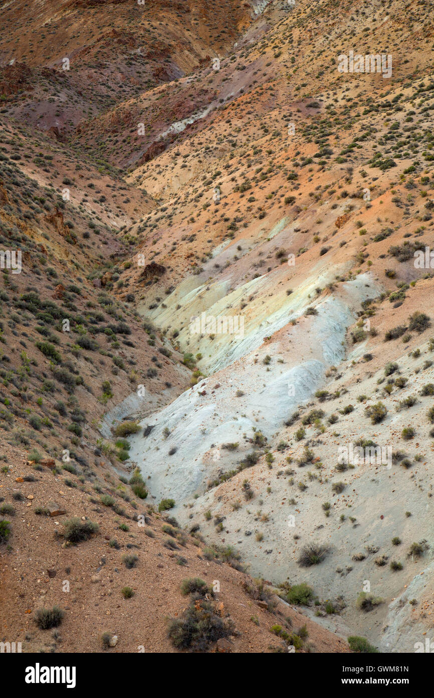 Waschen in Calico Mountains Ausläufer, Calico Mountains Wildnis, Nevada-Wüste Stockfoto