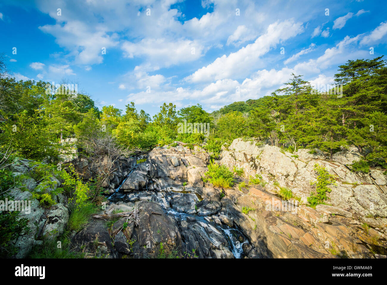 Stromschnellen in den Potomac River in Great Falls, gesehen von Olmsted Island bei Chesapeake & Ohio Canal National Historical Park, Maryla Stockfoto