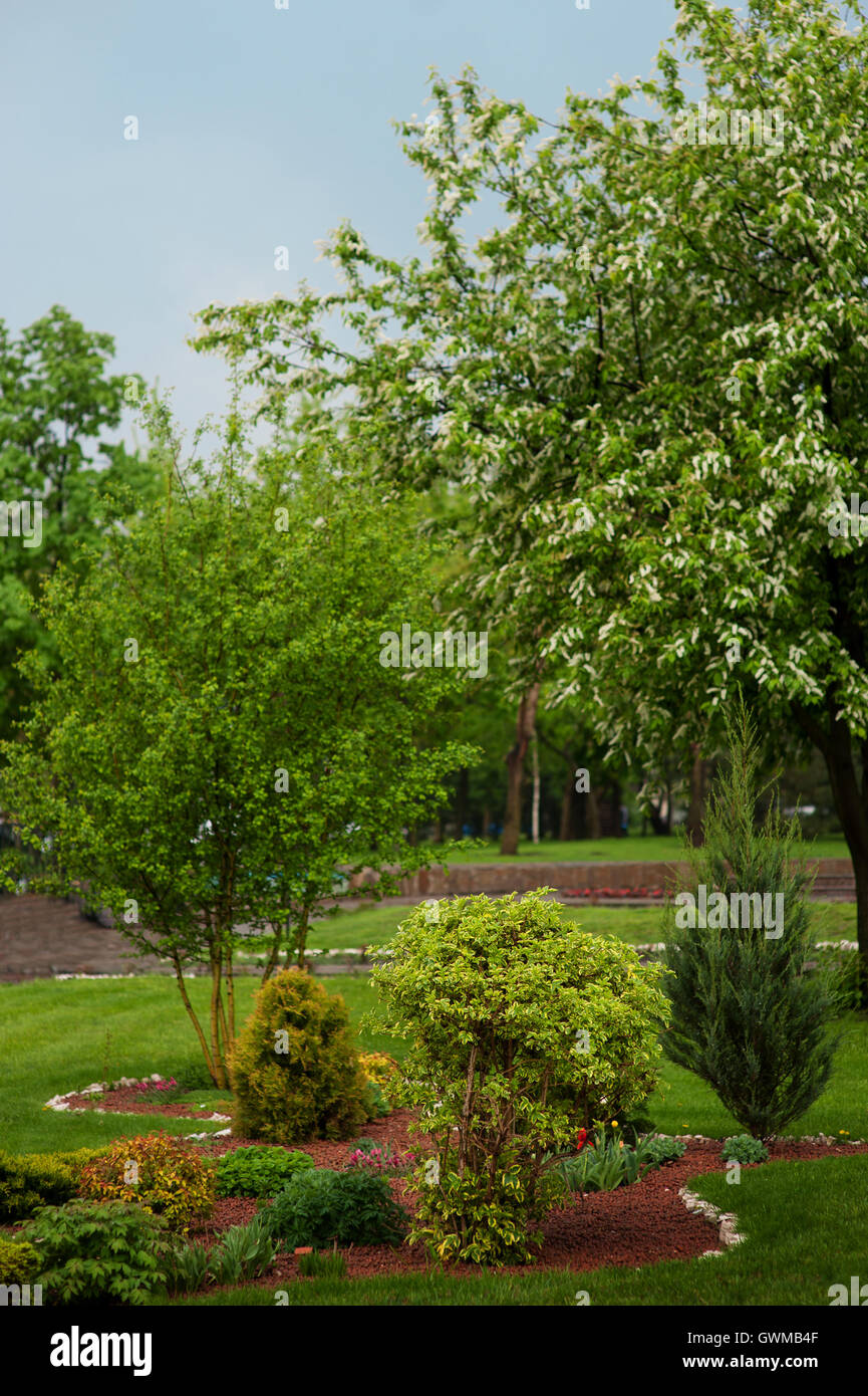 Sommer Landschaft Design Park mit Bäumen und Pflanzen Stockfoto