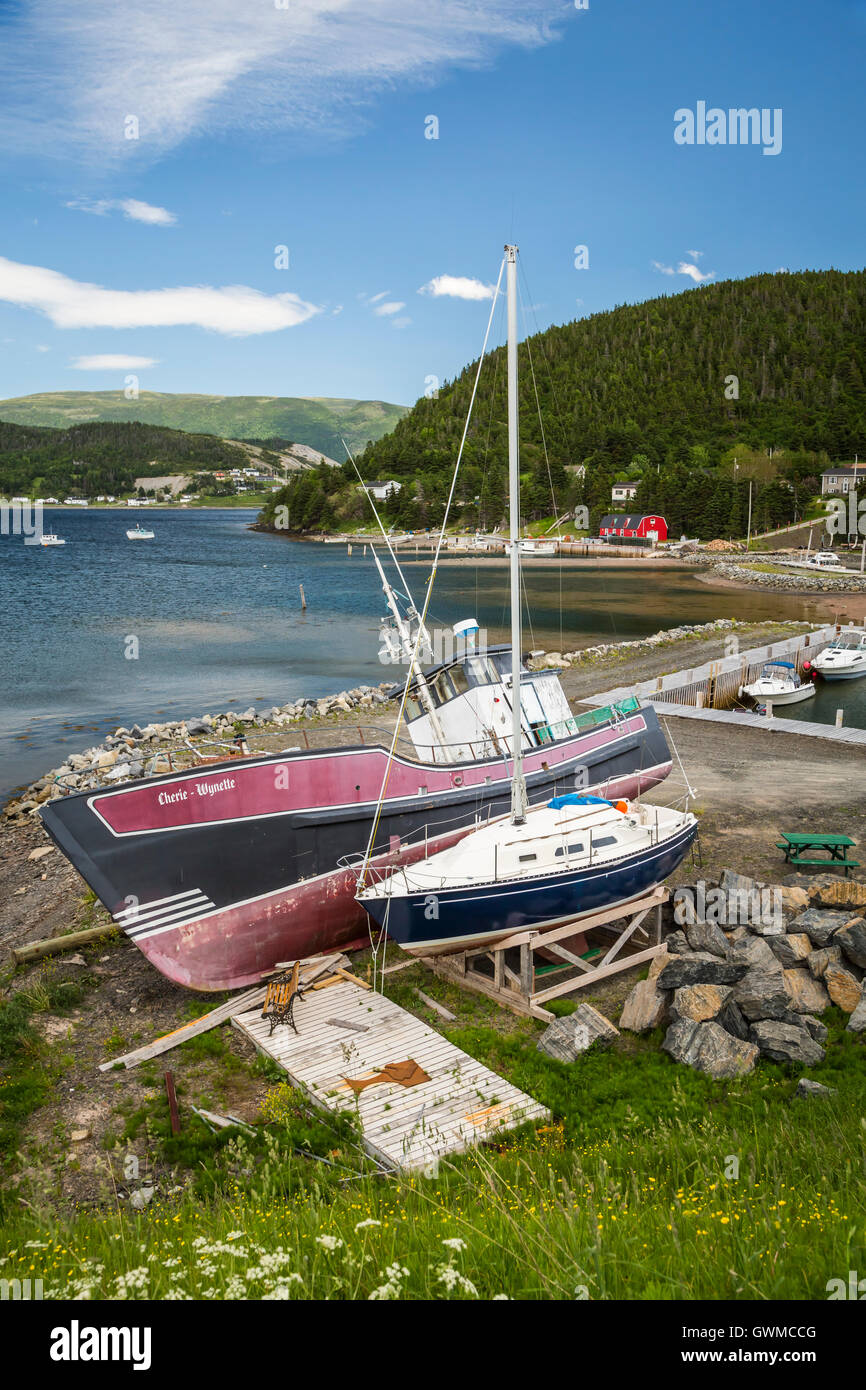 Angelboote/Fischerboote im Hafen von Norris Point, Neufundland und Labrador, Kanada. Stockfoto
