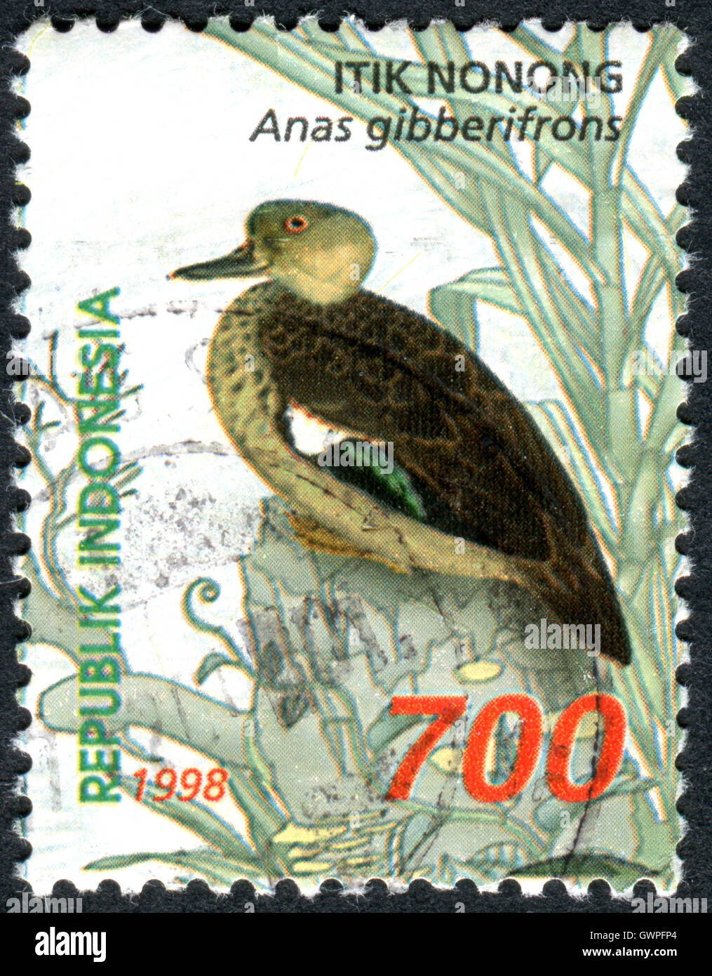 Indonesien - ca. 1998: Briefmarke gedruckt in Indonesien zeigt die Sunda Krickente (Anas Gibberifrons), ca. 1998 Stockfoto