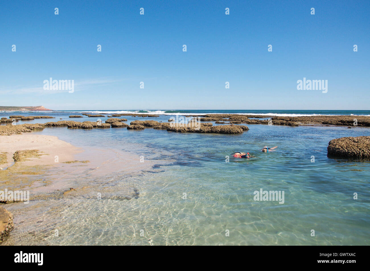 Kalbarri, WA, Australien-21. April, 2016:Tourists Schnorcheln im Gezeiten-Pools am blauen Löcher Strand im Indischen Ozean an der Coral Coast von Western Australia Stockfoto