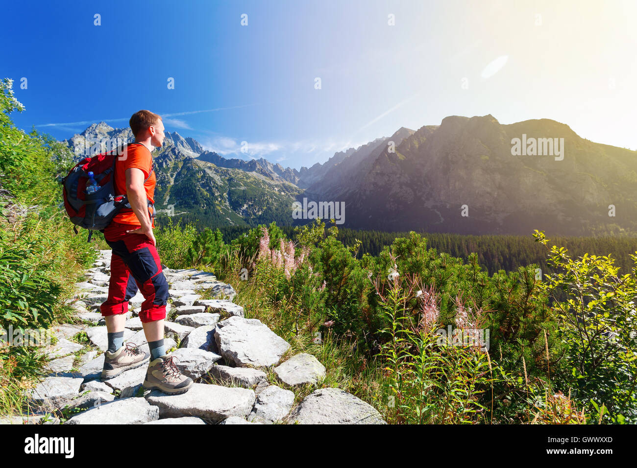 Mann auf dem Weg stehen, Blick in die Berge Stockfoto