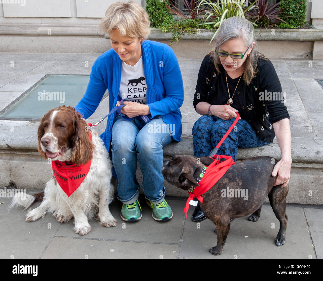 Schauspielerin Carrie Fisher, Prinzessin Lea in den Star Wars Filmen spielt, verbindet Aktivisten zum protest gegen die chinesische Yulin Hundefest Fleisch. Demonstranten versammelten sich bei der chinesischen Botschaft in London und wurde versucht, die hand in einer 11 Millionen Unterschrift Stockfoto