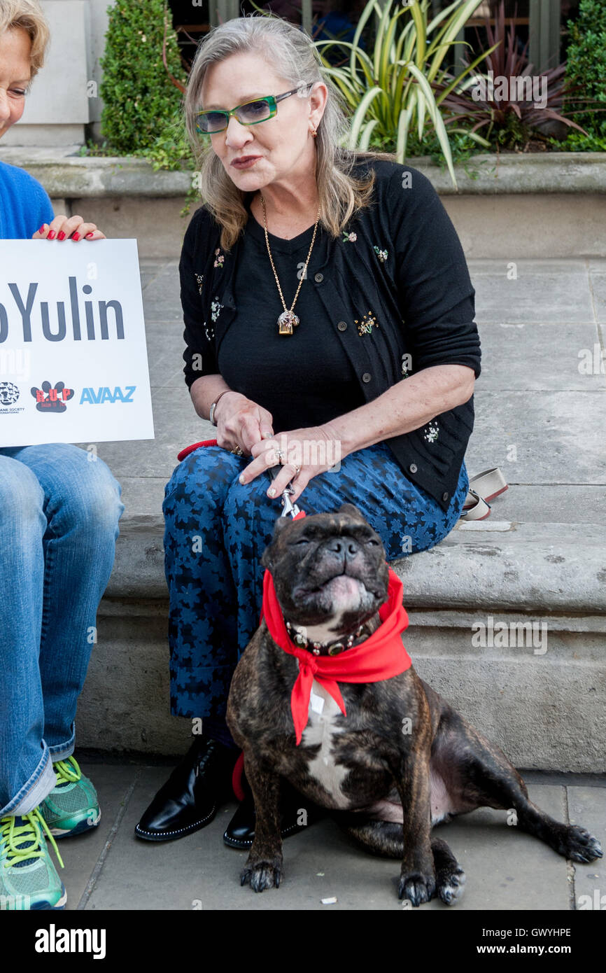 Schauspielerin Carrie Fisher, Prinzessin Lea in den Star Wars Filmen spielt, verbindet Aktivisten zum protest gegen die chinesische Yulin Hundefest Fleisch. Demonstranten versammelten sich bei der chinesischen Botschaft in London und wurde versucht, die hand in einer 11 Millionen Unterschrift Stockfoto