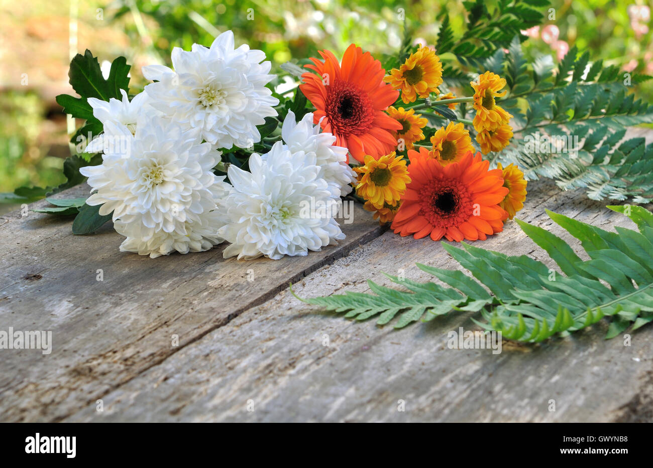 hübsche Blumen auf einem hölzernen und alten Brett in einem Garten Stockfoto