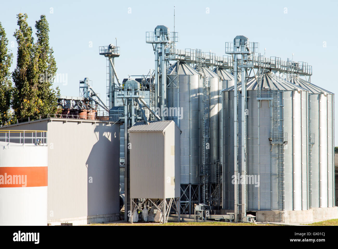 Landwirtschaftliche Silos - Gebäudehülle, Lagerung und Trocknung von Getreide, Weizen, Mais, Soja, Sonnenblume Stockfoto