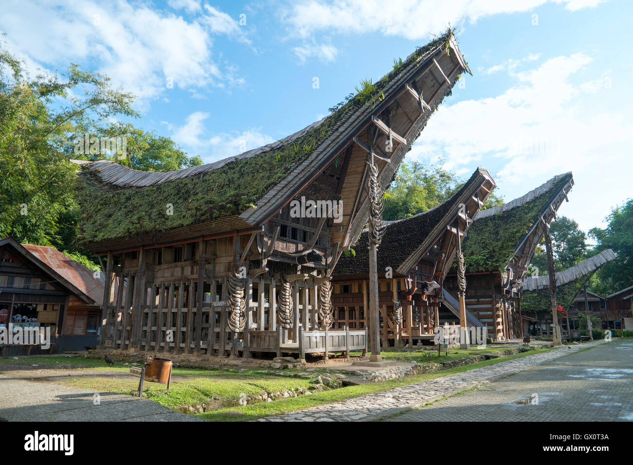 Tongkonan Häuser, traditionelle Toraja Gebäude und Haus befindet sich am Ke'Te Kesu Stockfoto