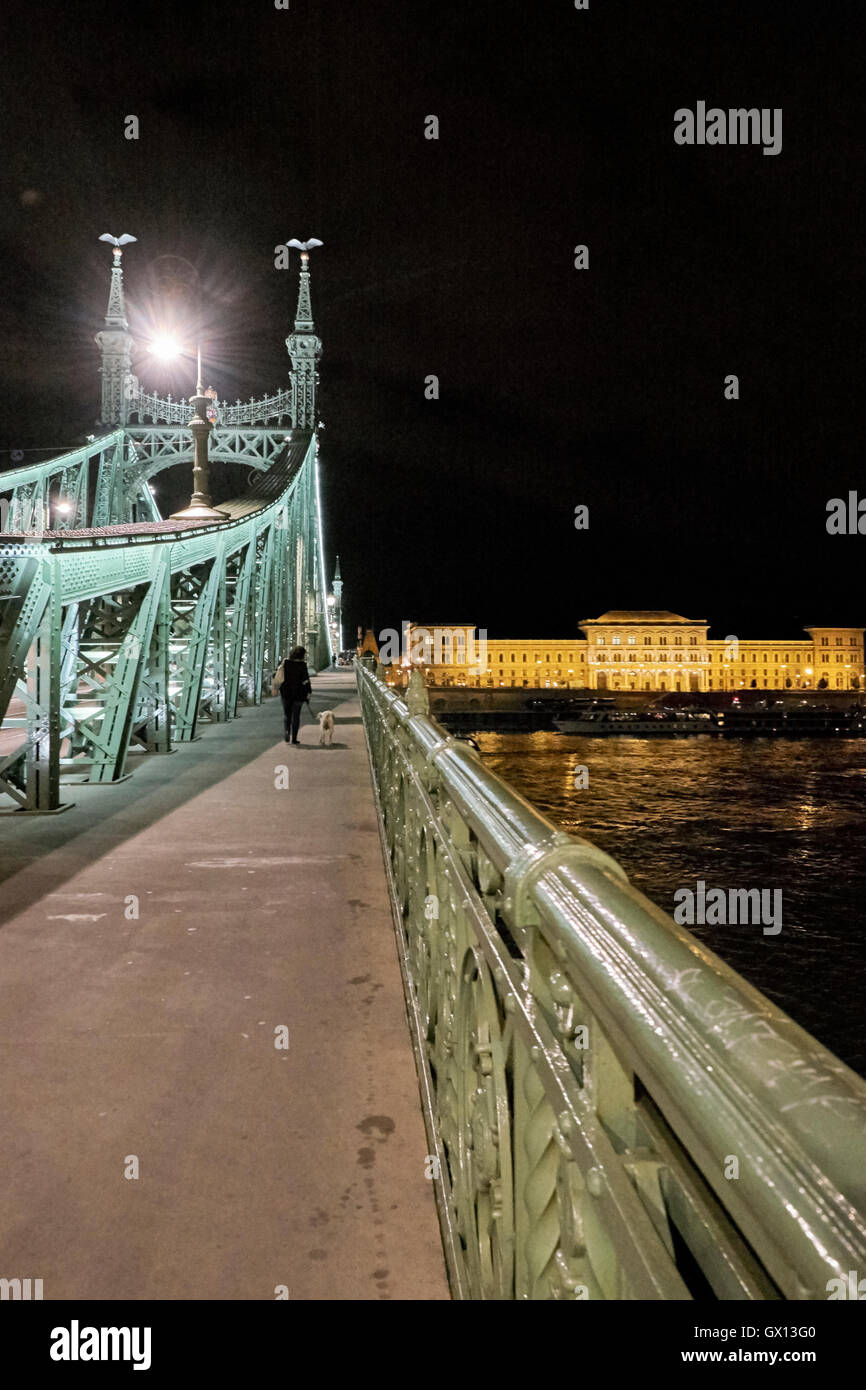 Mädchen zu Fuß Hund über Freiheit Brücke in der Nacht in Budapest, Ungarn. Corvinus Universität im Hintergrund. Stockfoto