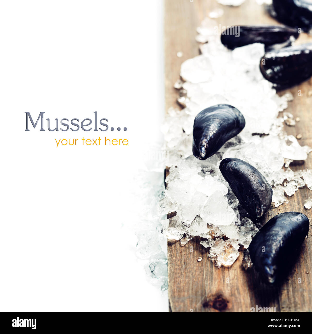 Muscheln Stockfoto