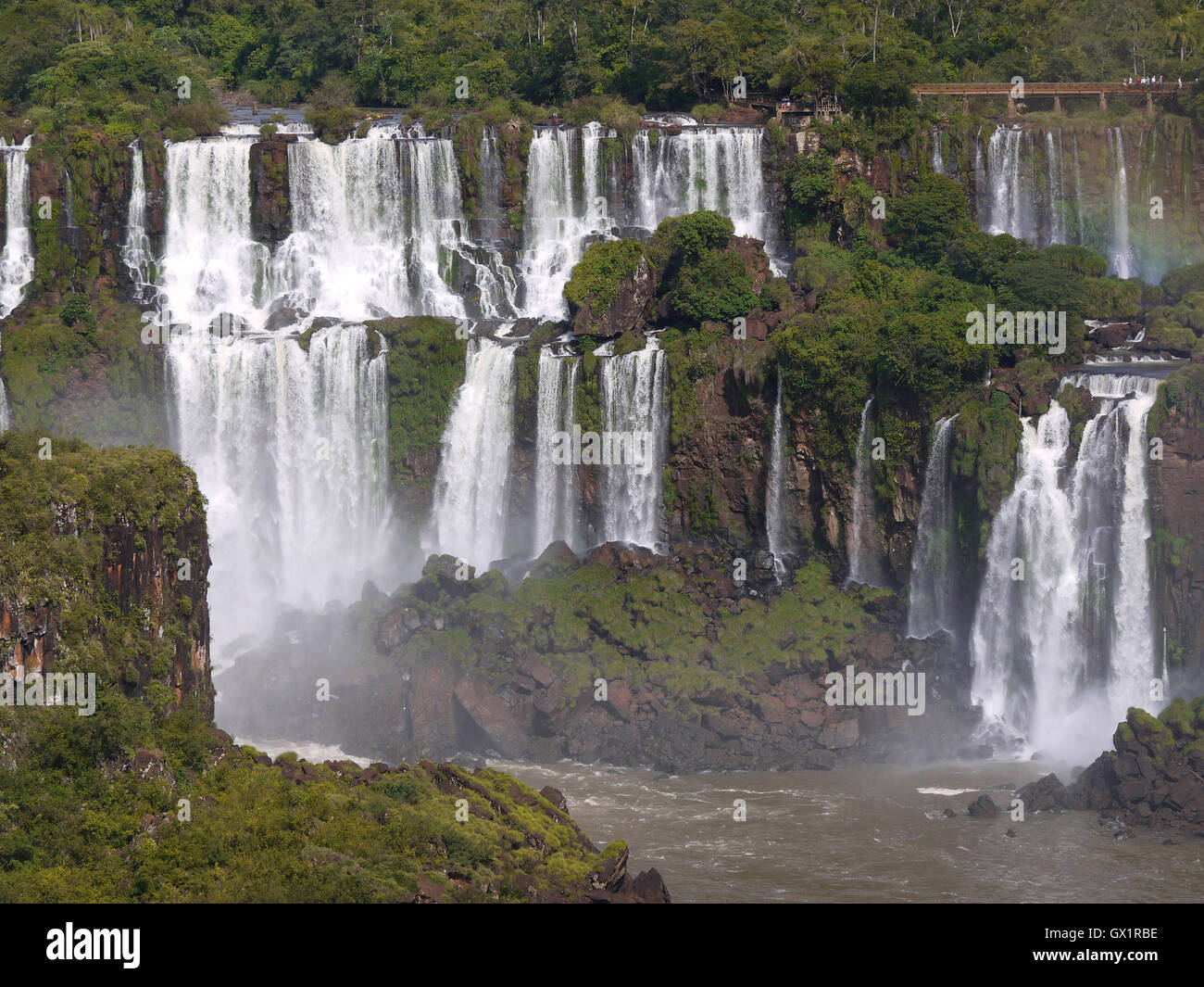 Iguazu National Park Stockfoto